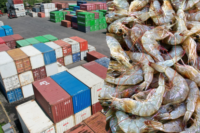 La detección del Covert Mortality Nodavirus en envíos de camarón desde China genera preocupación mundial, aunque expertos señalan que el consumo sigue siendo seguro si se cocina adecuadamente