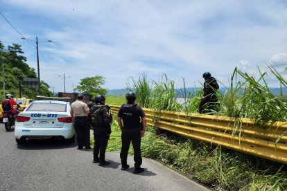 Los restos fueron encontrados entre unos matorrales.