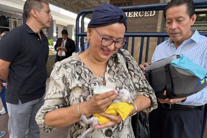 Delia Muñoz alimentaba con leche a su gatito de un mes, Félix Moisés, mientras esperaba en los exteriores de la Fiscalía, el 6 de abril.