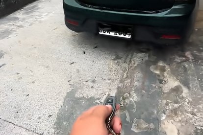 El dispositivo permite ocultar la placa del vehículo con un control remoto.