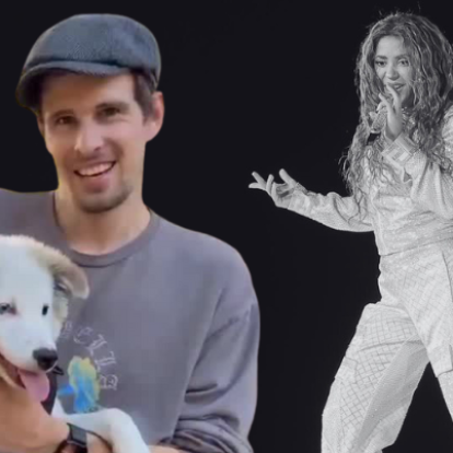 Quito se pudo reunir con su dueño en California.