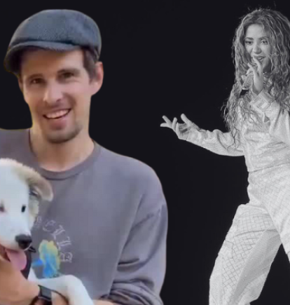 Quito se pudo reunir con su dueño en California.