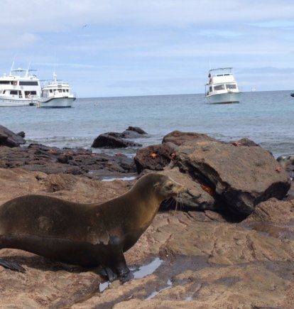 Dos localidades de la provincia de Galápagos celebran sus aniversarios de cantonización
