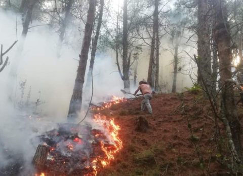 Voluntarios ayudan a combatir los incendios forestales en Loja.