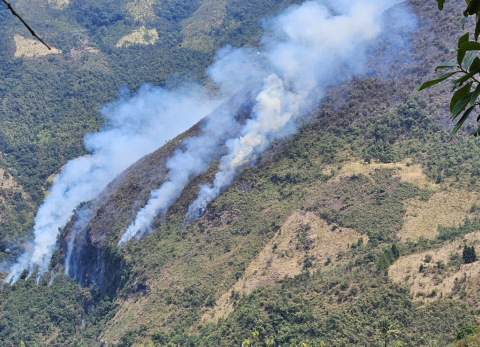 Incendio forestal en el sector de Quitahuayco, en Azuay.