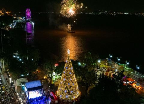 Los encendidos de los árboles se realizarán la primera semana de diciembre del 2024.