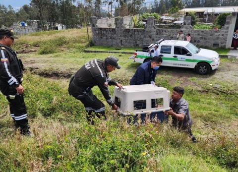 Unidad de Bienestar Animal retira un perro