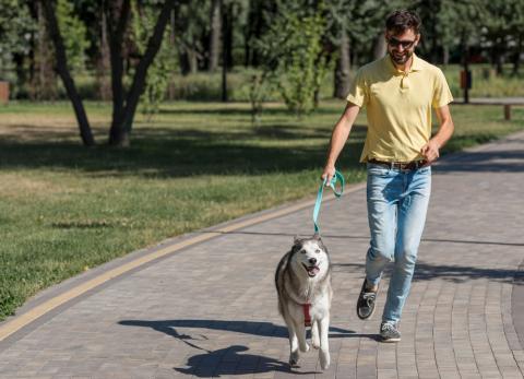 PASEAR A TU PERRO