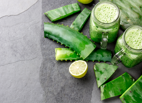 Jugo de Nopal