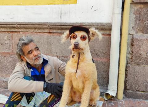La historia de José Miguel Cubero: entre el 'amor perruno', dolor y largos recorridos