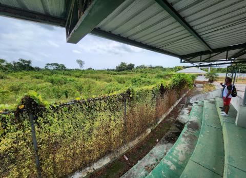 CANCHA DE BEISBOL CON MALEZA 2