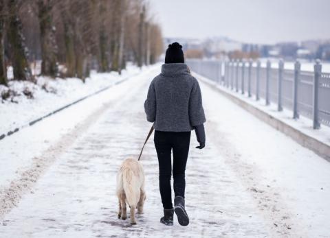 Caminar durante una nevada