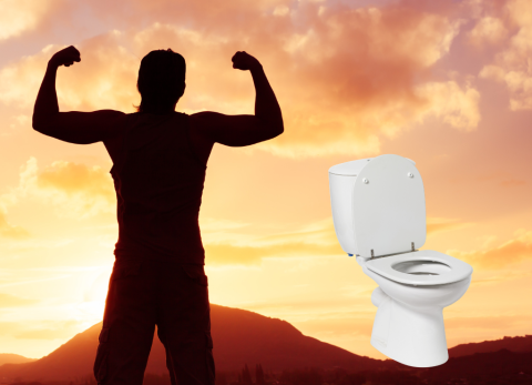 Día del Hombre y Día del Retrete, ambos se celebran el 19 de noviembre.
