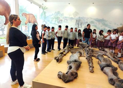 museos en Santa Elena