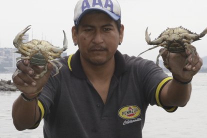 Jaime Medina muestra dos crustáceos que capturó durante unas de sus faenas.