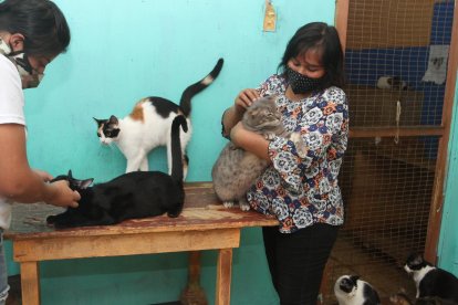 A Karina, su hija la ayuda a cuidar las mascotas. La joven se prepara para ser veterinaria