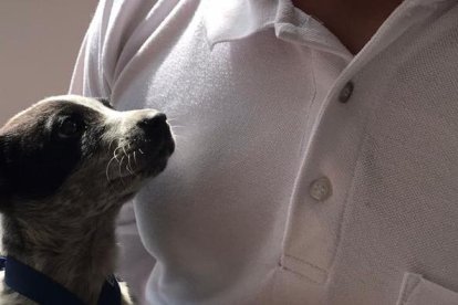 Fue rescatado por un operador de la planta de tratamiento.