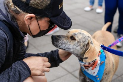 La actividad se realizó en la ciudadela Kennedy, el norte de la urbe. El 15 de octubre habrá otro evento similar.