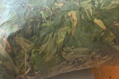 La marihuana almacenada en una funda pesaba en total 915 gramos.