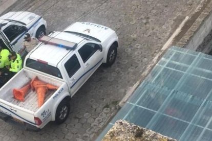 Personal de Tránsito de la Policía detuvo a los sospechosos.