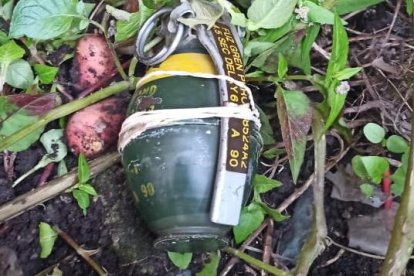 Los agentes encontraron la granada en poder del implicado.