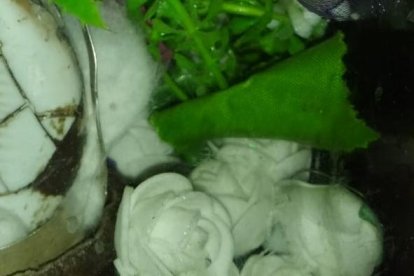 El Niño del Caracol, un peregrino al que muchos quieren tener