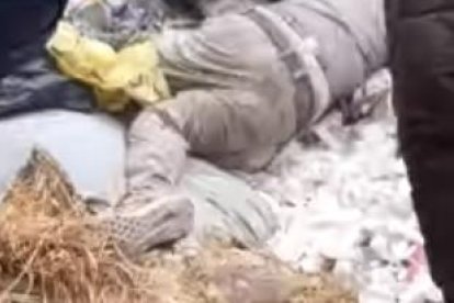 El hallazgo se hizo en un botadero de basura.