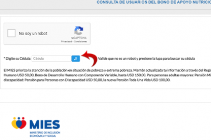 Al acceder, el usuario debe ingresar su cédula, validar que no es un robot y consultar.