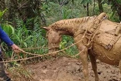 Uno de los comuneros pasa en caballo por un barrizal. Sacrificios para cumplir con la democracia.