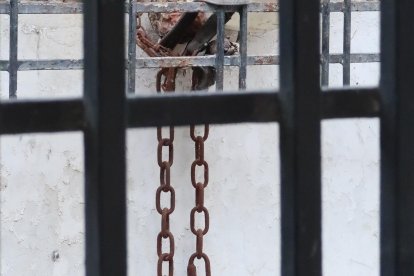 En una de las ventanas se puede ver las cadenas con las cuales sujetaba a sus canes.