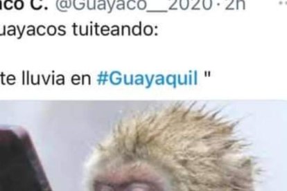 El calificativo mono también hizo presencia en estos contenidos.