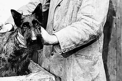 Eran usados para la cacería de presas pequeñas.