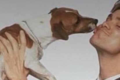 Milo, un jack russell participó en la película ‘La Máscara’.