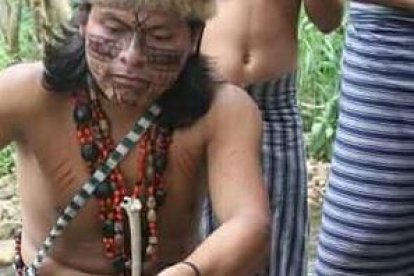 En las comunidades les enseñan a los más pequeños la importancia de conocer las bondades de cada planta.