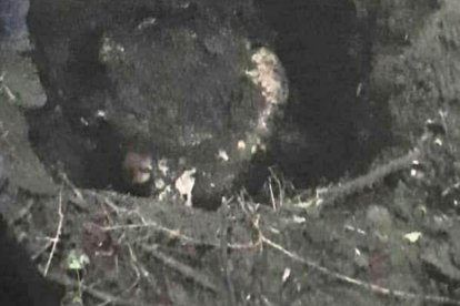 El cuerpo estaba enterrado junto a una palizada.