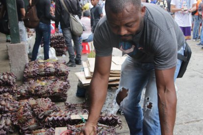 Velásquez llega desde Cuenca al mercado Caraguay, en Guayaquil, a comprar cangrejos.