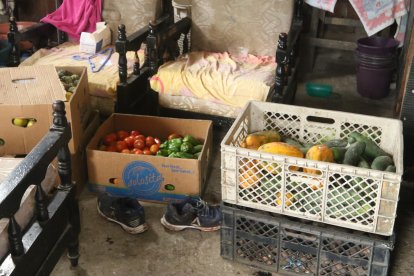 La pareja sobreviviente se dedica a la venta de frutas y vegetales.