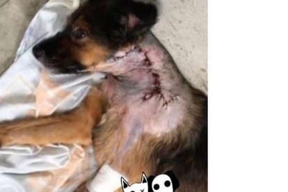 El día que lo operaron y su vida cambió.