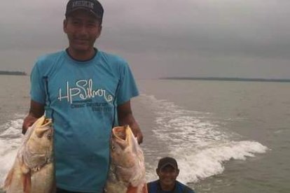 La corvina de Puna es muy apetecida por su gran tamaño.