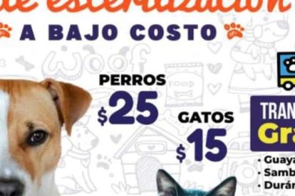 Captura de una de las publicidades que circulan en las redes sociales.