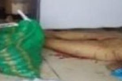 Cerca de la bolsa verde quedó tendido el cadáver de la víctima.