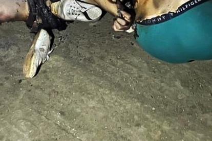 Los cuerpos fueron encontrados por jornaleros que madrugaron a laborar en las montañas.