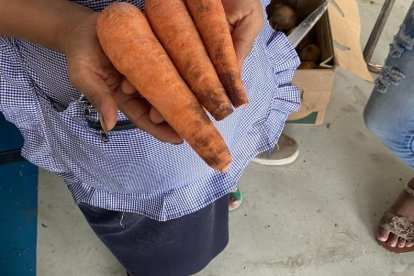 Las zanahorias, supuestamente provenientes de Perú, se dañan al pasar un día según Alicia.