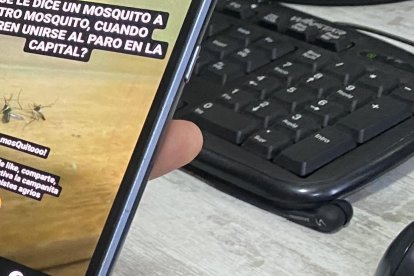 Christian, mientras estaba aburrido, subió a Instagram un chiste de mosquitos.