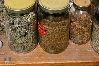 Estas muestras, según la Policía, son drogas procesadas.