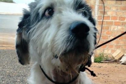 Esta foto fue tomada en la playa tras su hallazgo en Crucita.