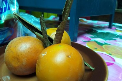 La naranjilla fue un ingrediente que se agregó con el tiempo al canelazo.