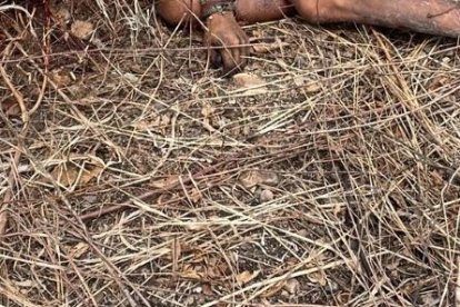 Este hombre fue hallado cerca de una zanja en el canal de la muerte.