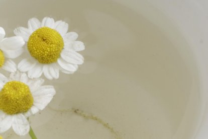 Agua de manzanillas fresca le sirve para refrescarse la parte afectada.