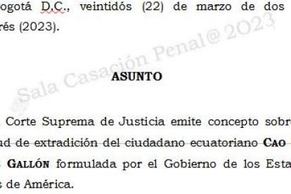 Concepto de extradición de Cao Lay Muñoz